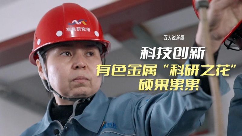 揭秘人工智能应用指南的作者之谜